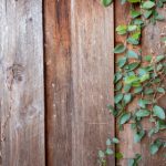 7981平台的优势与潜力,如何在竞争中脱颖而出 1547zs5r