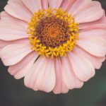 7981com的用户体验评测:功能与界面的全面分析 35ucut