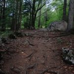 6966集团直营如何推动行业创新与可持续发展 38g2bm0y9