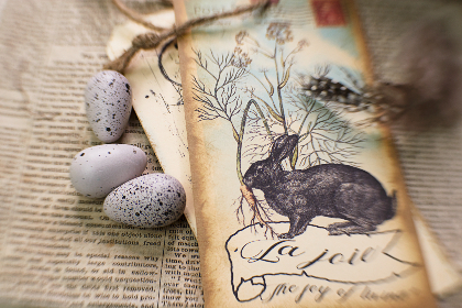 7981万豪的美食之旅:品味世界各地的美味佳肴