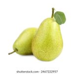 6t体育官网的优势:如何提升您的体育观赛体验 8ohu01