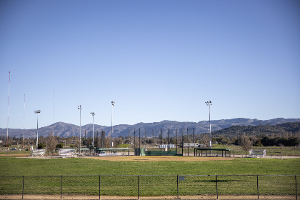 3377体育app使用指南:新手如何快速上手并享受体育乐趣