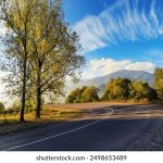 7981万豪娱乐官网:如何选择最适合你的游戏项目 hw36e5