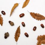 158彩集团在数字化转型中的机遇与挑战分析 ipodj6v