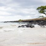 7780彩集团:引领行业创新与可持续发展的先锋 la8skjq2v