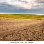 333体育平台官网的优势分析:为何选择我们进行体育博彩 v5mt1lw13x