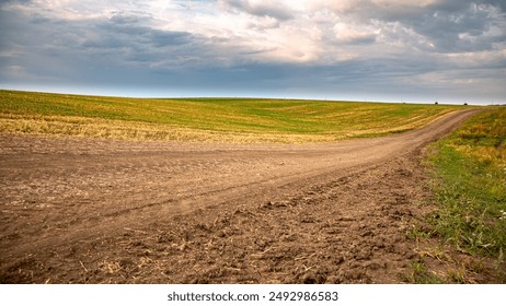 333体育平台官网的优势分析:为何选择我们进行体育博彩