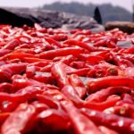 6731顶级官网入口:安全可靠的娱乐选择,尽在掌握 wwec76sd