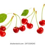 196体育官网的特色功能与用户体验,带你畅游体育世界 y4xhm5zv