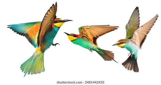 79 net必赢平台评测：选择最佳在线博彩网站的技巧