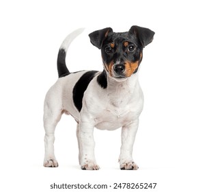 678体育官网:探索全新体育赛事直播体验与精彩内容